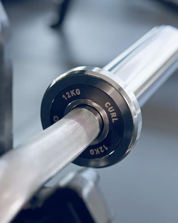 Curl Bar